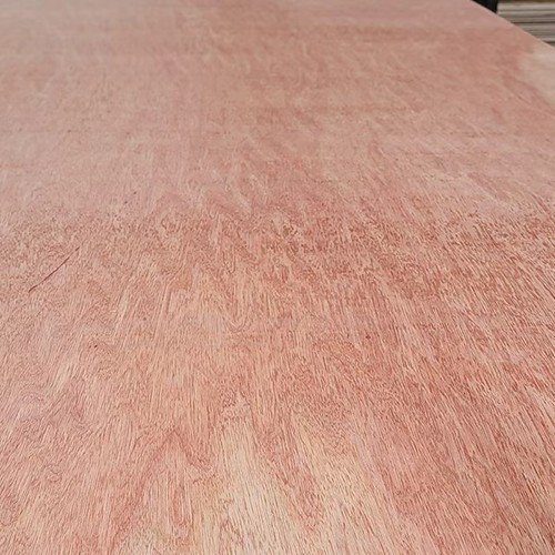 Bingtangtang Plywood BB Grade manufacturers